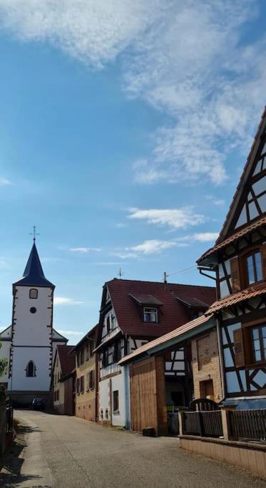 Appartamento Alsace Bas-Rhin Logis Independant Avec Piscine Privee Alteckendorf Esterno foto